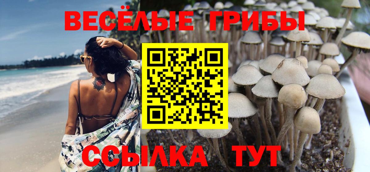 Псилоцибиновые грибы Magic Shrooms  Вход с VPN  Тосно 