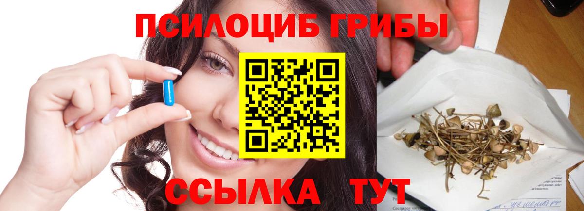 Галлюциногенные грибы Cubensis Тосно